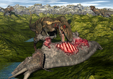 Carnivores