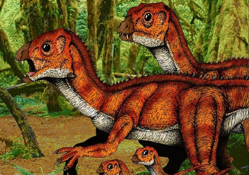 Heterodontosaurus