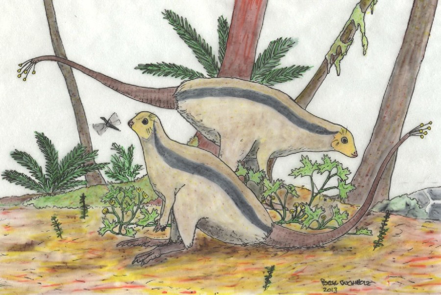 Jeholosaurus