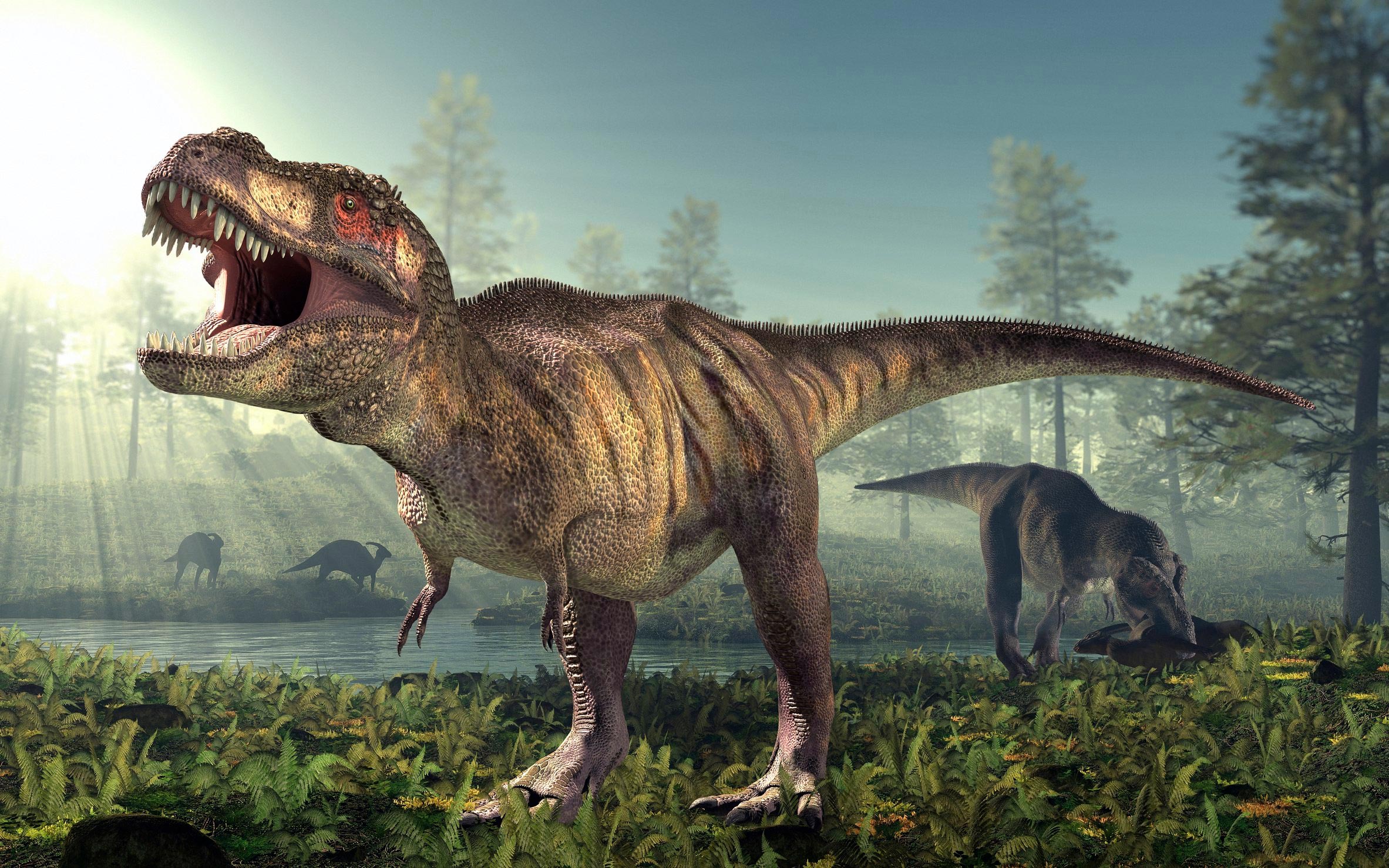 Tyrannosaurus Rex