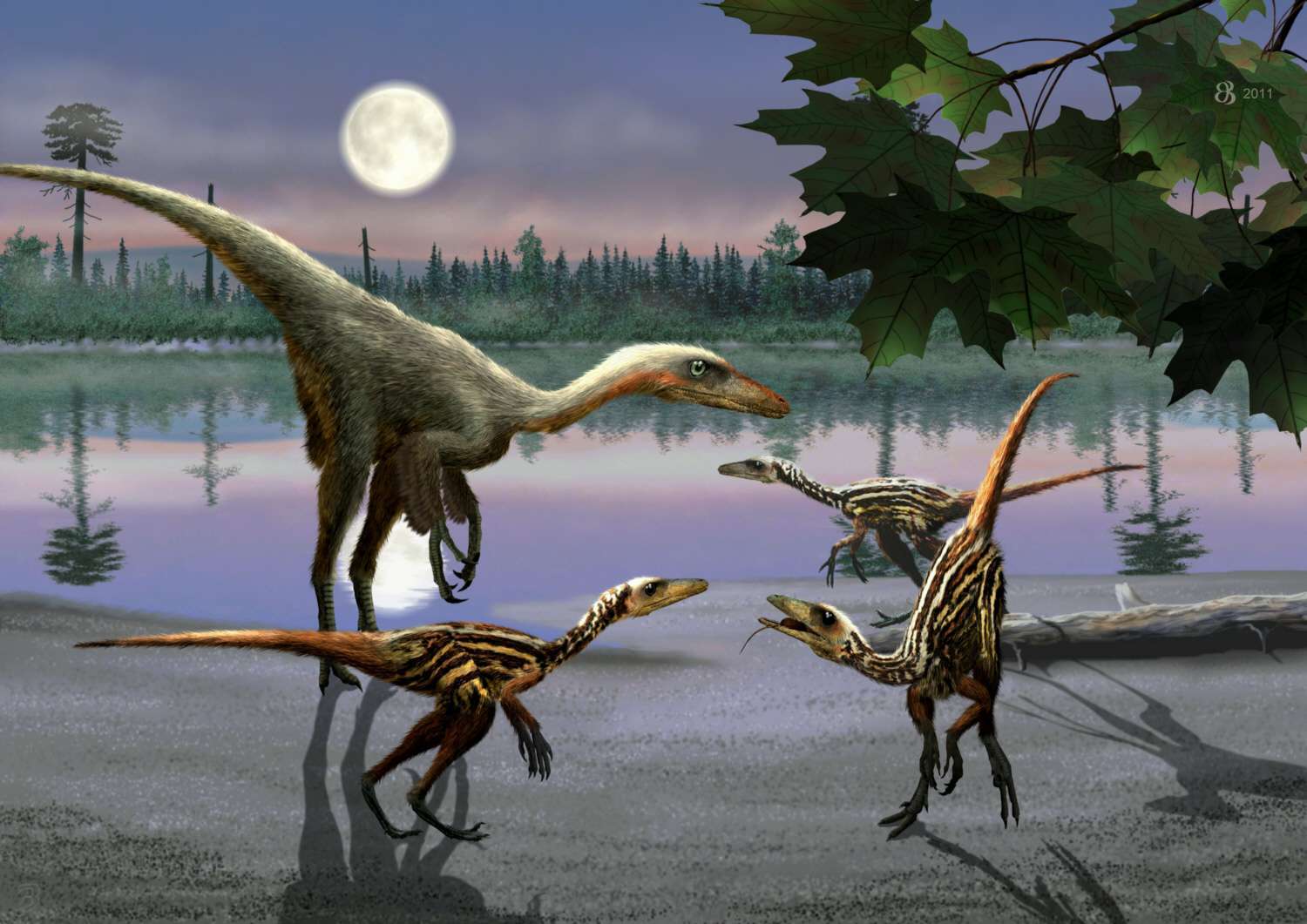Troodon