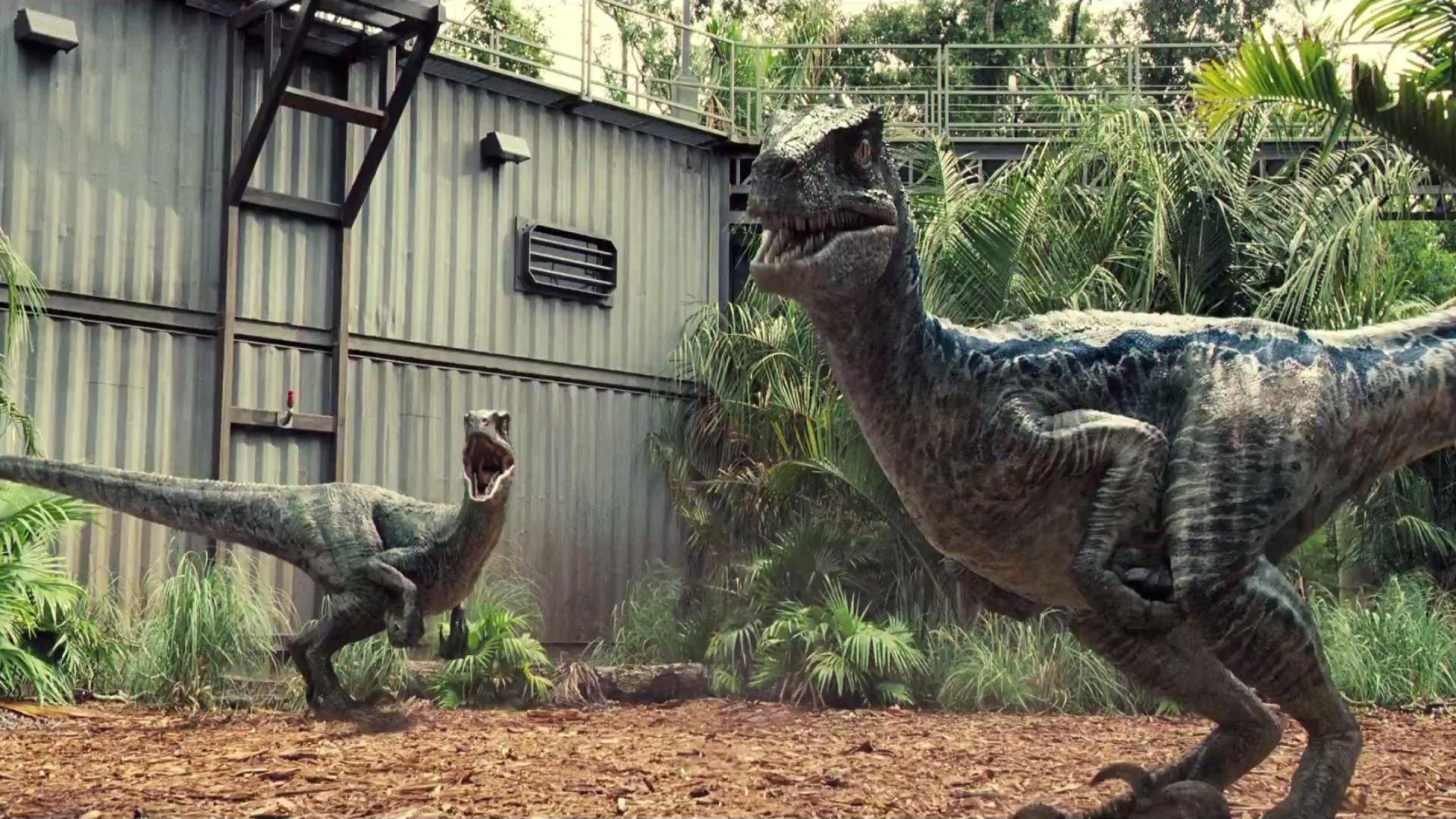 Velociraptor